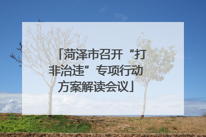 菏泽市召开“打非治违”专项行动方案解读会议