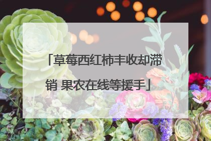 草莓西红柿丰收却滞销 果农在线等援手