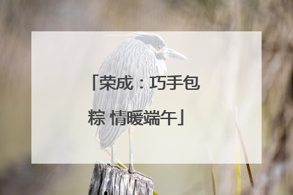 荣成：巧手包粽 情暖端午