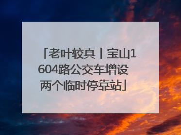 老叶较真丨宝山1604路公交车增设两个临时停靠站