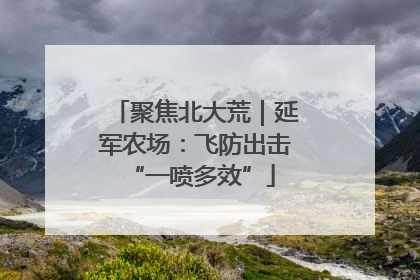 聚焦北大荒｜延军农场：飞防出击 “一喷多效”