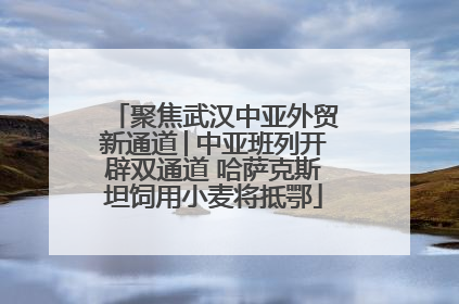 聚焦武汉中亚外贸新通道│中亚班列开辟双通道 哈萨克斯坦饲用小麦将抵鄂
