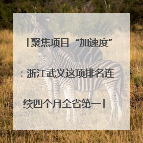 聚焦项目“加速度”：浙江武义这项排名连续四个月全省第一