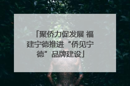 聚侨力促发展 福建宁德推进“侨见宁德”品牌建设