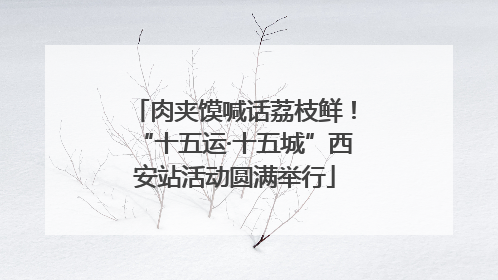 肉夹馍喊话荔枝鲜！“十五运·十五城”西安站活动圆满举行