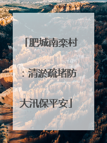肥城南栾村：清淤疏堵防大汛保平安