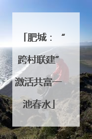 肥城：“跨村联建”激活共富一池春水