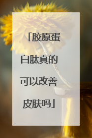 胶原蛋白肽真的可以改善皮肤吗