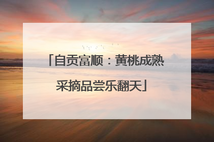 自贡富顺：黄桃成熟 采摘品尝乐翻天