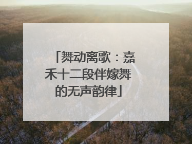 舞动离歌：嘉禾十二段伴嫁舞的无声韵律