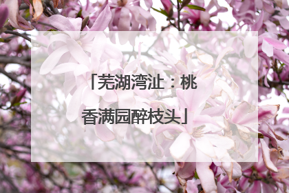 芜湖湾沚：桃香满园醉枝头