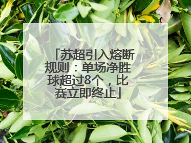 苏超引入熔断规则：单场净胜球超过8个，比赛立即终止
