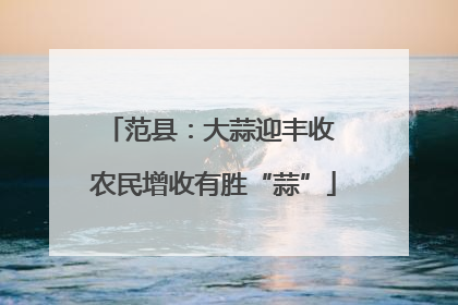 范县:大蒜迎丰收 农民增收有胜“蒜”