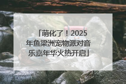 萌化了！2025年鱼梁洲宠物派对音乐嘉年华火热开启