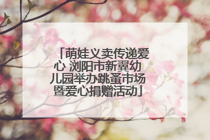 萌娃义卖传递爱心 浏阳市新翼幼儿园举办跳蚤市场暨爱心捐赠活动