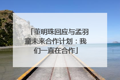 董明珠回应与孟羽童未来合作计划：我们一直在合作