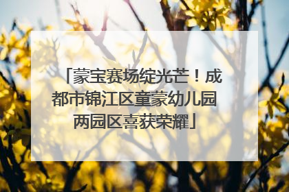 蒙宝赛场绽光芒！成都市锦江区童蒙幼儿园两园区喜获荣耀