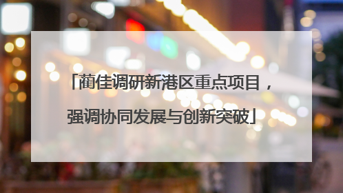 蔺佳调研新港区重点项目，强调协同发展与创新突破