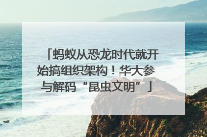 蚂蚁从恐龙时代就开始搞组织架构！华大参与解码“昆虫文明”