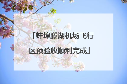 蚌埠滕湖机场飞行区预验收顺利完成