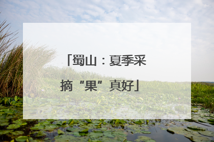 蜀山：夏季采摘“果”真好
