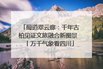 蜀道翠云廊：千年古柏见证文旅融合新图景丨万千气象看四川