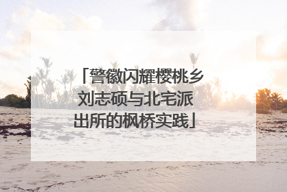 警徽闪耀樱桃乡 刘志硕与北宅派出所的枫桥实践