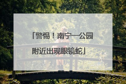 警惕！南宁一公园附近出现眼镜蛇