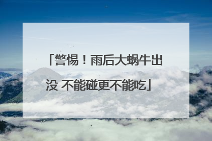 警惕！雨后大蜗牛出没 不能碰更不能吃