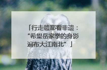 行走赣鄱看非遗：“希望岳家拳的身影遍布大江南北”