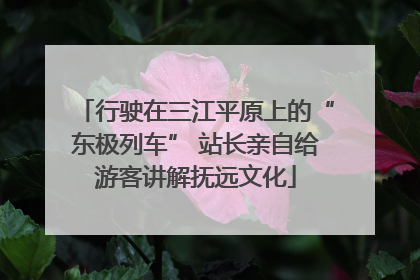 行驶在三江平原上的“东极列车” 站长亲自给游客讲解抚远文化