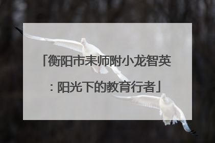 衡阳市耒师附小龙智英：阳光下的教育行者