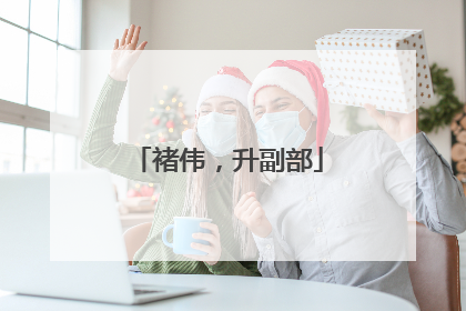 褚伟，升副部