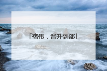 褚伟，晋升副部