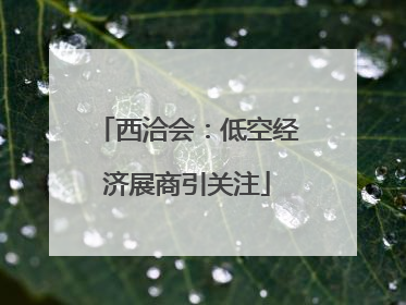 西洽会：低空经济展商引关注