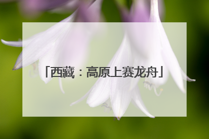 西藏：高原上赛龙舟