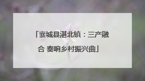 襄城县湛北镇：三产融合 奏响乡村振兴曲