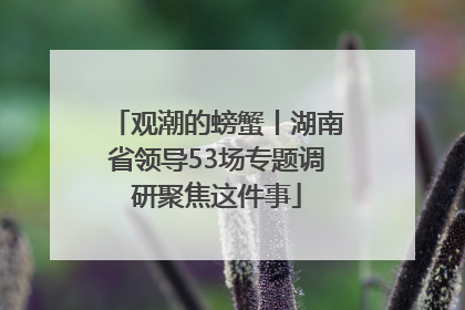 观潮的螃蟹丨湖南省领导53场专题调研聚焦这件事