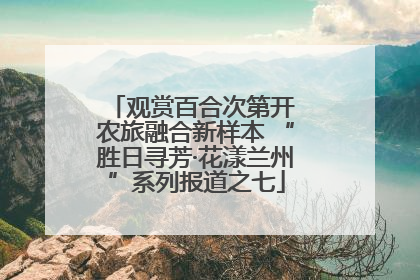 观赏百合次第开 农旅融合新样本 “胜日寻芳·花漾兰州”系列报道之七