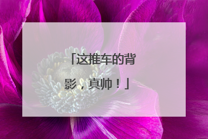 这推车的背影，真帅！