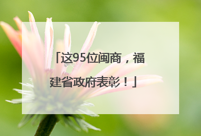 这95位闽商，福建省政府表彰！