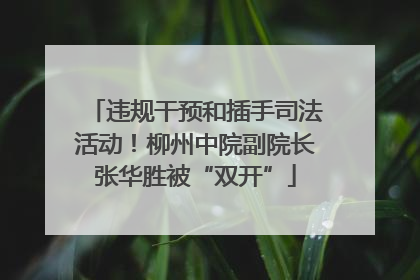 违规干预和插手司法活动！柳州中院副院长张华胜被“双开”