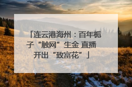 连云港海州：百年栀子“触网”生金 直播开出“致富花”