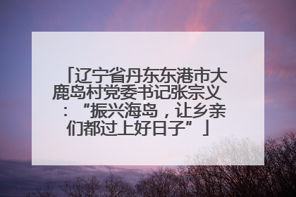 辽宁省丹东东港市大鹿岛村党委书记张宗义：“振兴海岛，让乡亲们都过上好日子”