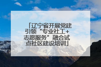 辽宁省开展党建引领“专业社工+志愿服务”融合试点社区建设培训