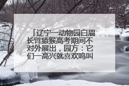 辽宁一动物园白眉长臂猿猴高考期间不对外展出，园方：它们一高兴就喜欢鸣叫，怕影响考试