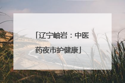 辽宁岫岩：中医药夜市护健康