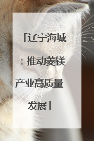 辽宁海城：推动菱镁产业高质量发展