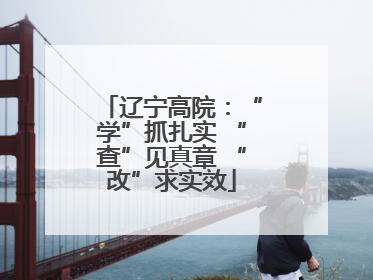 辽宁高院：“学”抓扎实 “查”见真章 “改”求实效