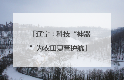 辽宁：科技“神器”为农田夏管护航